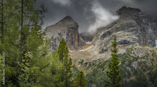 Pl  tzwiese  Dolomiten - Berglandschaft mit B  umen  Wolken und dramatischem Himmel