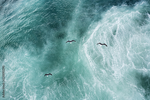 Three doves flying over North Atlantic photo