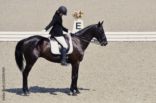 Young elegant rider woman and isabelline horse. Beautiful girl at advanced dressage test on equestrian competition. Professional female horse rider, equine theme. 