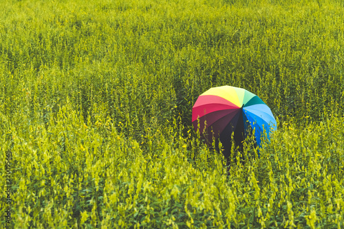 Back view of colorful rainbow umbrella holding by woman in meadow field. People and Fashion concept. Nature and relaxation theme. Happiness of female traveler during vacation trip.