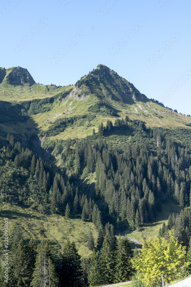 Bregenzer Wald Österreich Damüls