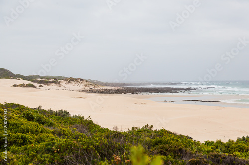 The long white sandy dune beach of Cape St Francis, South Africa.