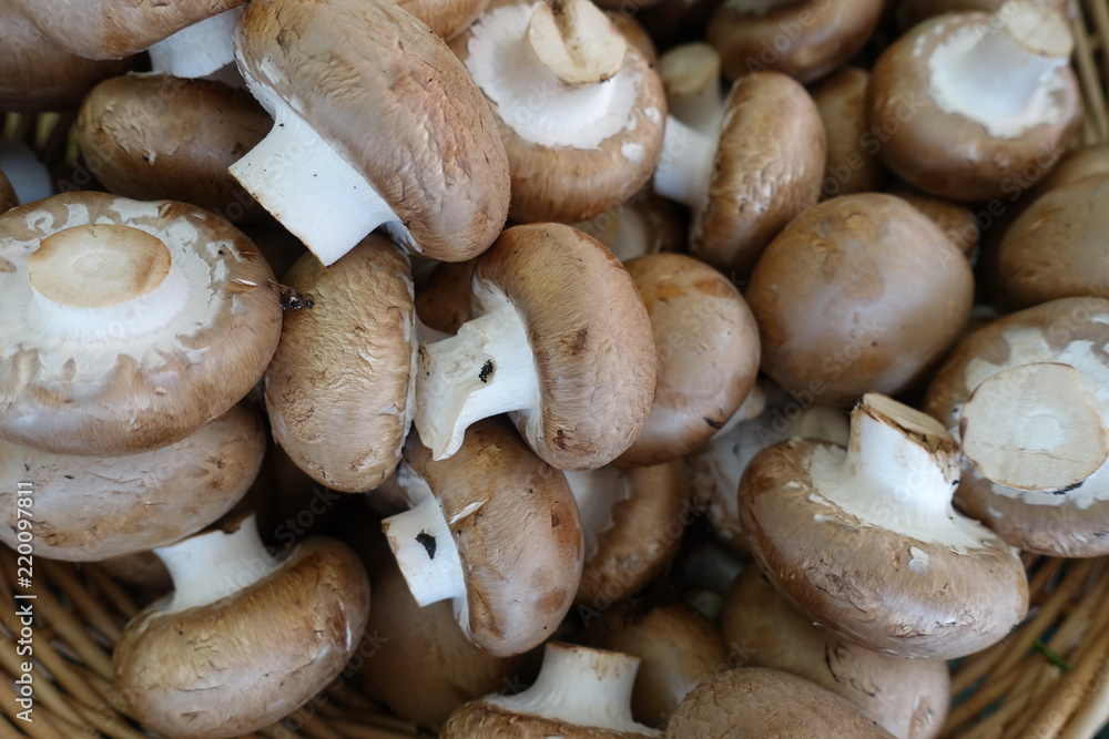 Korb mit Champignons Korb mit Champignons