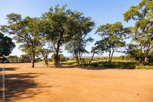 The parking area at a rest camp in the Kruger park, South Africa.