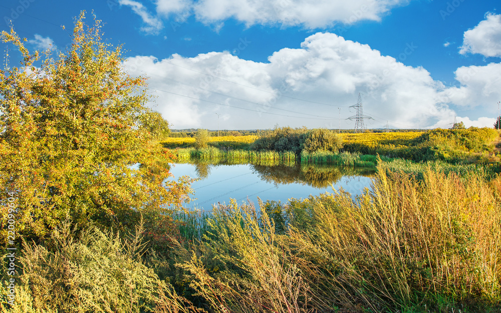 beautiful landscape with small pond with cloudy sky beautiful landscape with small pond with cloudy sky