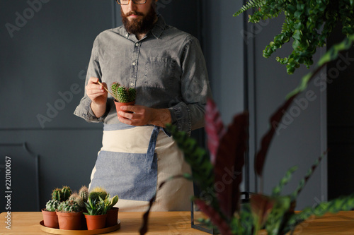 Gardener with passion in work suit holding cactus at table with succulents photo