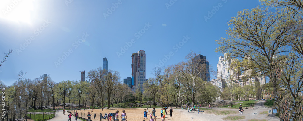 Fototapeta premium SKYLINE CentalPark