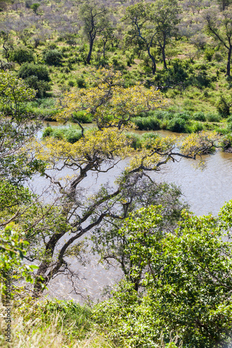 Open dam in the Kruger park, is filled with hippos and is a great view point to spot wildlife. South Africa.