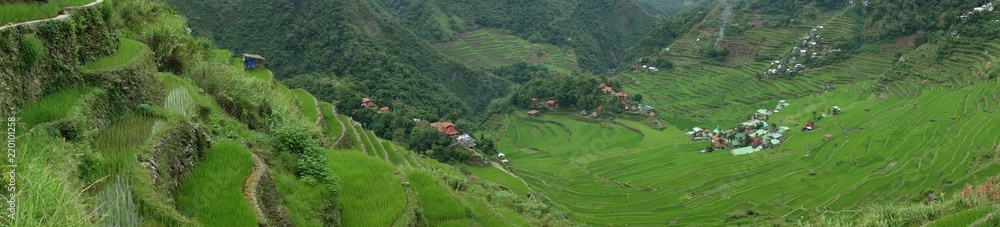 Rice terrace in Batad
