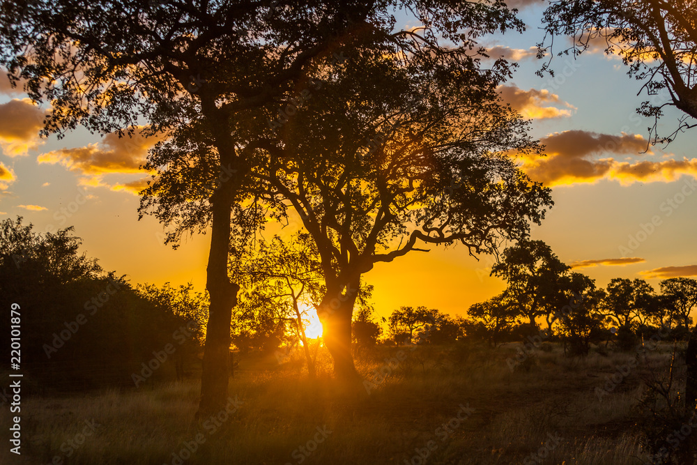 Sunset over the Kruger park, South Africa Sunset over the Kruger park, South Africa