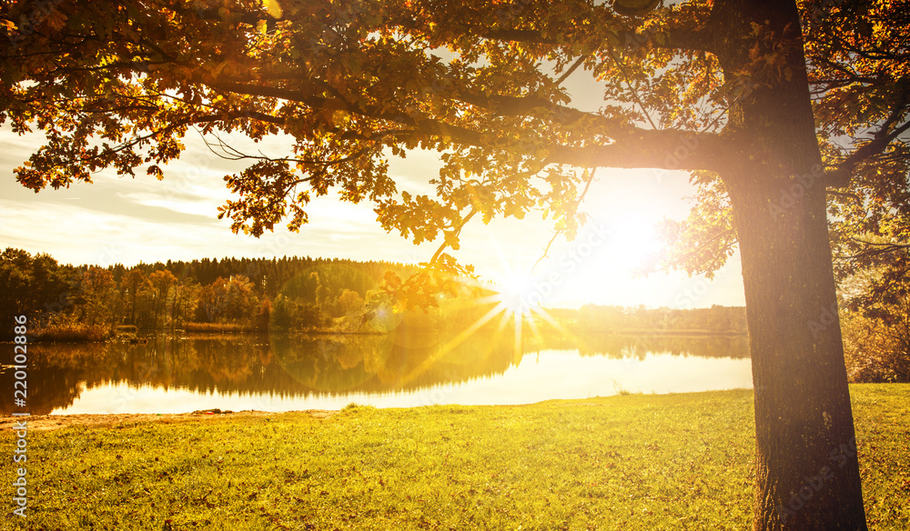 Naklejka premium Herbststimmung