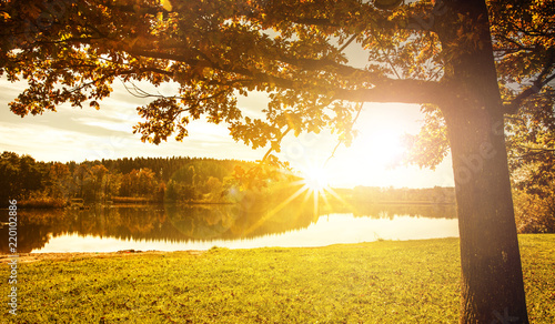 Herbststimmung