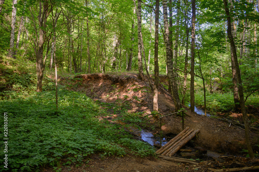 small wooden bridge through a forest stream small wooden bridge through a forest stream