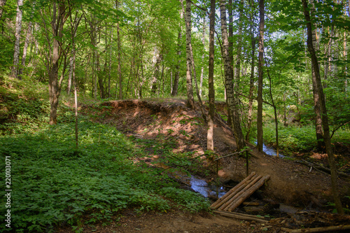 small wooden bridge through a forest stream