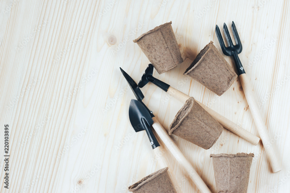 custom made wallpaper toronto digitalGarden accessories and pots for seedlings on a wooden background