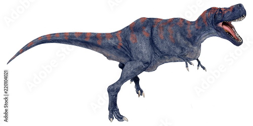 タルボサウルス・バタール。白亜紀後期の肉食恐竜。ティラノサウルス科の獣脚類であり、ティラノサウスるの亜種としてティラノサウルス・エフレモイという別称もある。モンゴルで発見された骨格化石は頭骨の重さからティラノサウルスほどの頑丈さはないようだ。2005年に描いたオリジナルイラストであり、原画の大きさで発表したことがなかった。体色は自由に設定している。。