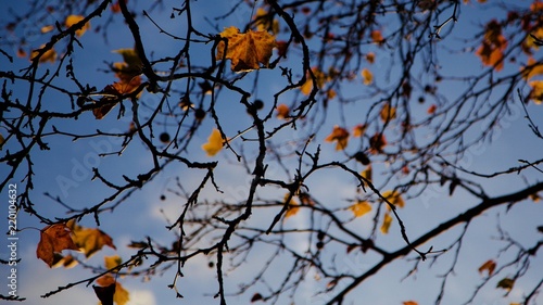 Autumn in Bois de Vincennes, Paris © Antoine