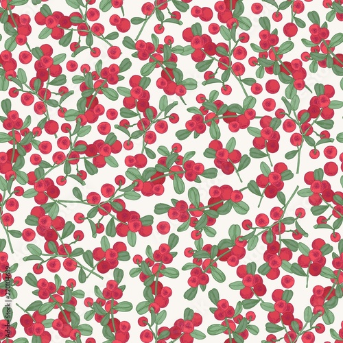 Gorgeous seamless pattern with arctic lingonberry on white background. Backdrop with boreal forest berry. Realistic vector illustration in antique style for fabric print, wallpaper, wrapping paper.