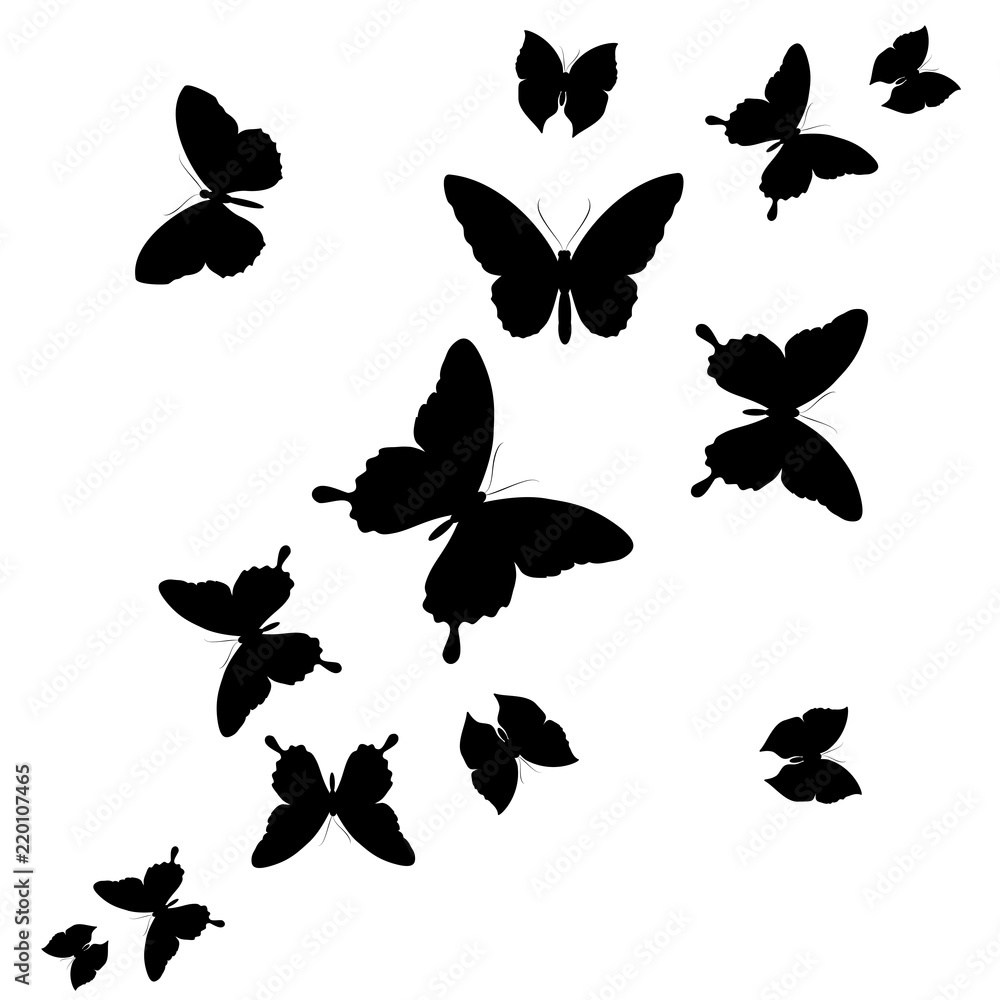 Fototapeta premium beautiful pink butterflies, isolated on a white