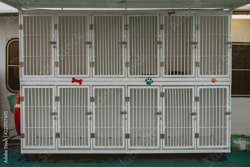 Empty cages to transport dogs on a boat