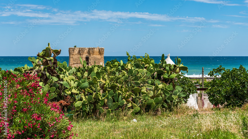 Fototapeta premium Enchanted sea. Boats in the bay of the abbey of San Vito