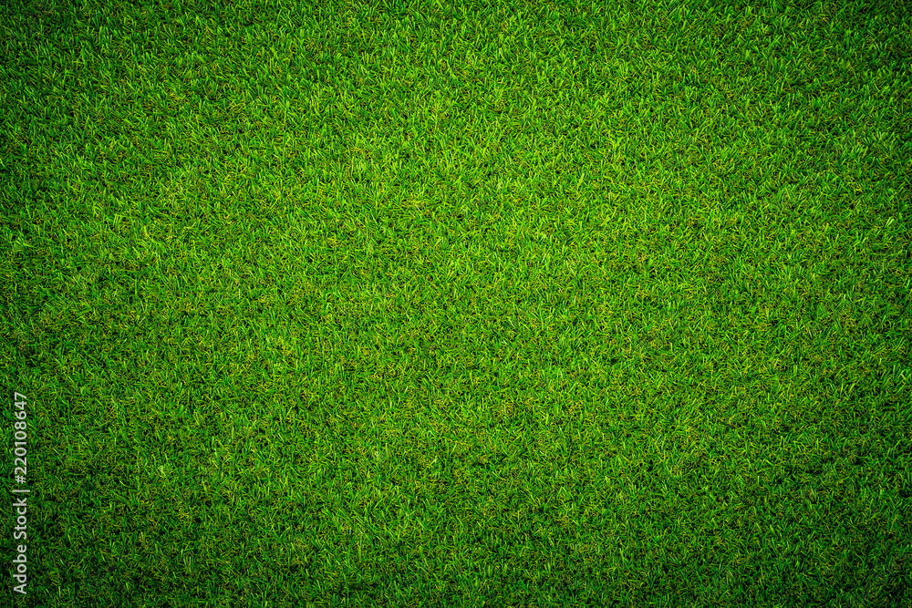 Green grass background Keyword here - obrazy, fototapety, plakaty 