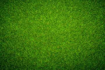 Green grass background Keyword here