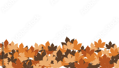 foglie, autunno, foglie secche, 