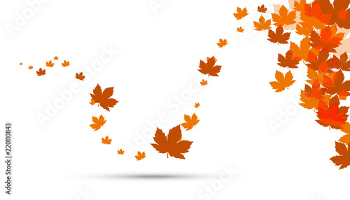 foglie, autunno, foglie secche, 