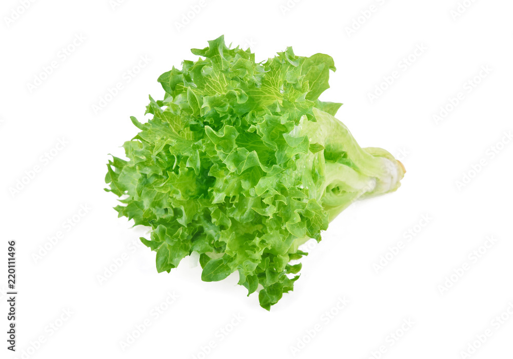 fresh frillice iceberg isolated on white background fresh frillice iceberg isolated on white background