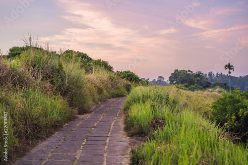 Campuhan Ridge Walk or Artists Walk sacred trail, Bali island, Indonesia On the Sunset. Trail landscape palm tropical greens photo