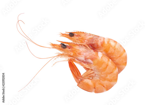 Two red cooked prawn or tiger shrimp isolated on white background