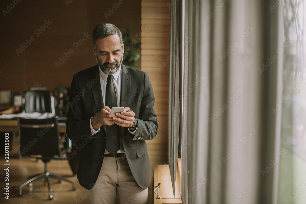 Portrait of senior businessman using cell phone in modern office Portrait of senior businessman using cell phone in modern office