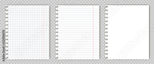 Set of blank  copy book sheets with torn edges. Mockup or template of graph notepad pages for your text.