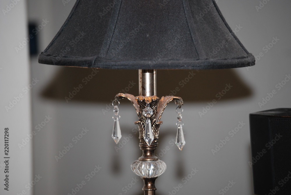 Black Lamp Portrait Black Lamp Portrait