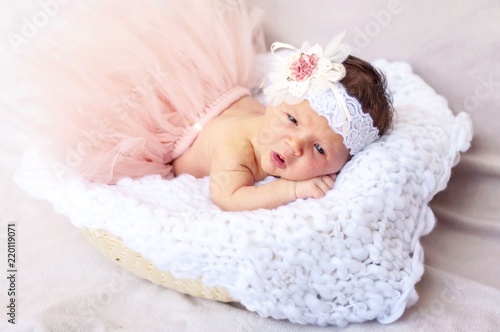 Cute tiny newborn baby princess in a ballet skirt with a bow on a basket with plaid. Soft tones. Adorable newborn infant girl stock image.