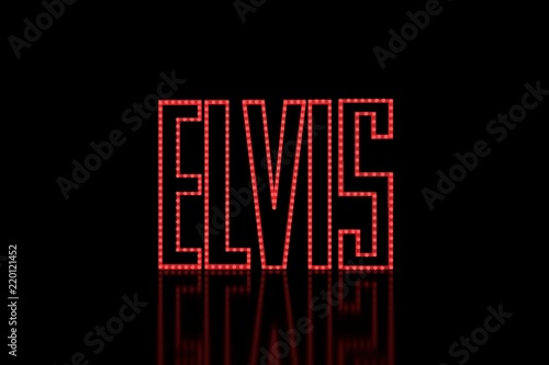 Obraz na plátně Elvis