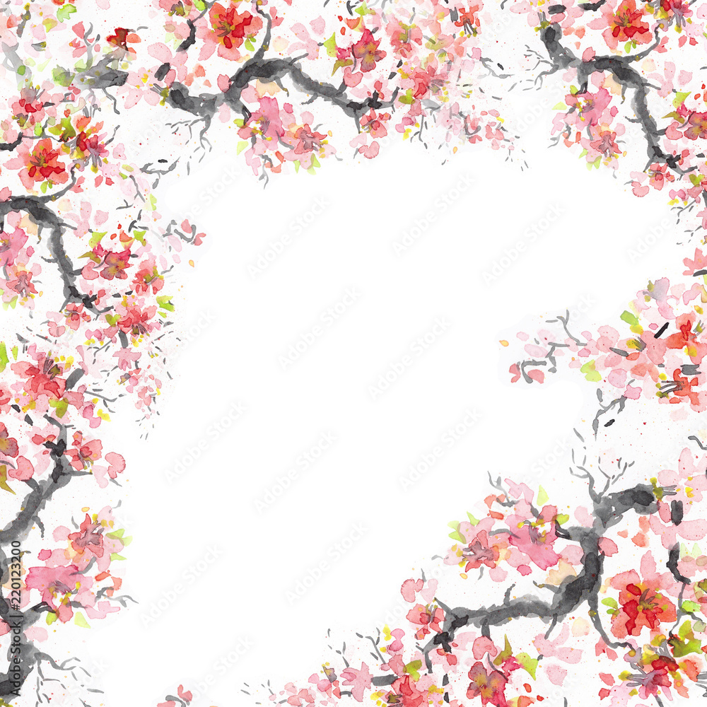 Japanese cherry blossom cherry flower  Watercolor illustration