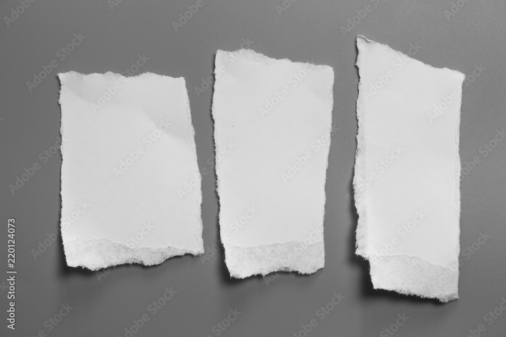 white torn paper on gray background. collection paper rip white torn paper on gray background. collection paper rip