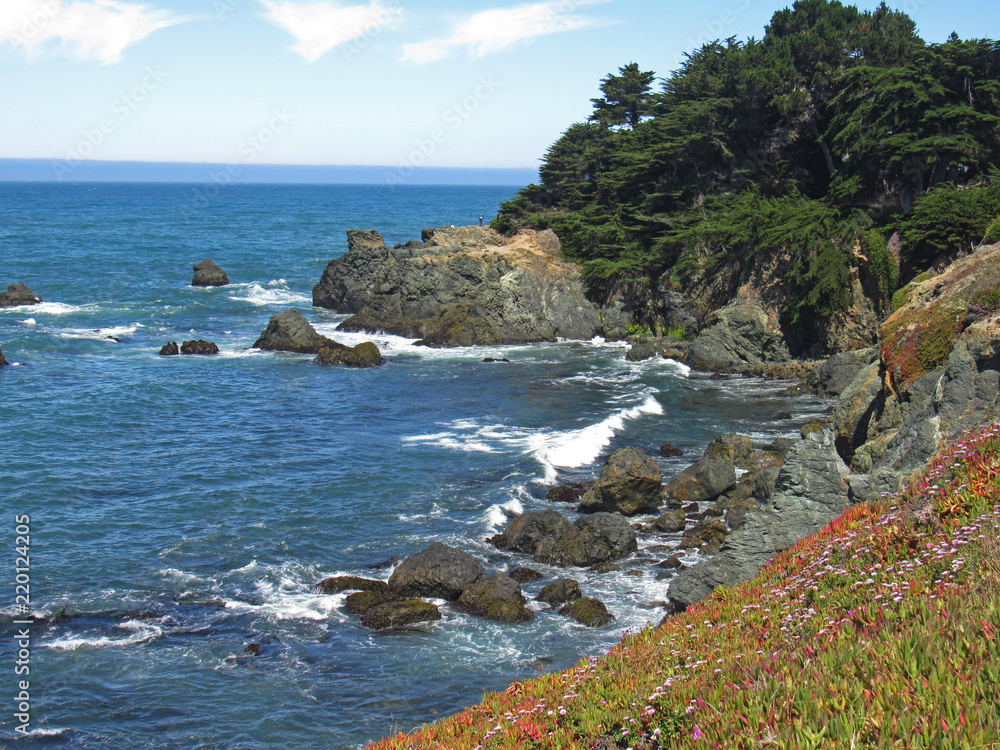 Coastal views of the California coast