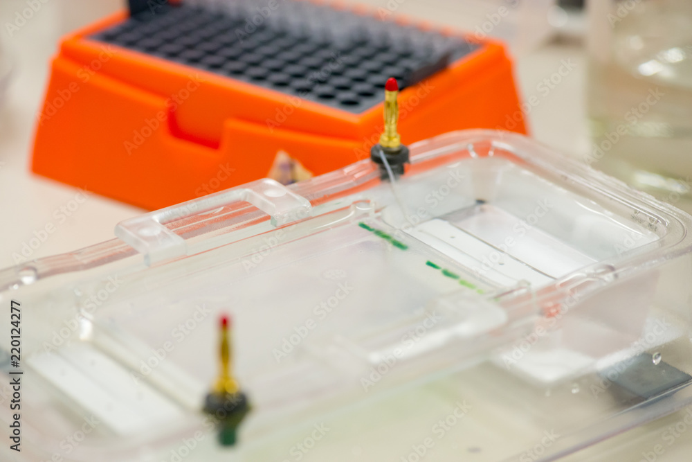Gel electrophoresis chamber with agarose slab and DNA samples from a cancer patient for analysis by using RFLP. Pipette tip boxes in background. Shallow focus. Science and biotechnology.