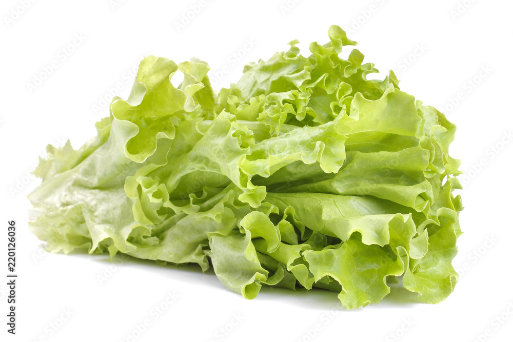 Fresh green lettuce leaves on white isolated background. close-up. vegetables Fresh green lettuce leaves on white isolated background. close-up. vegetables