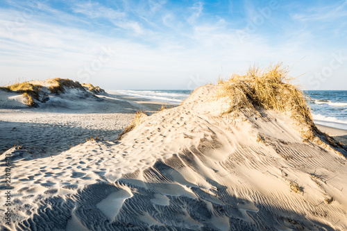 Fototapeta Naklejka Na Ścianę i Meble -  Sand Dunes Along the Outer Banks of North Carolina