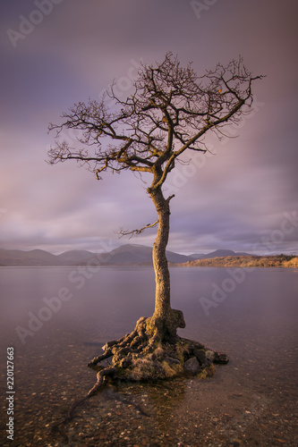 Szkocja - Balmacha - Loch Lomond