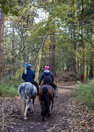 two horseriders in forest photo