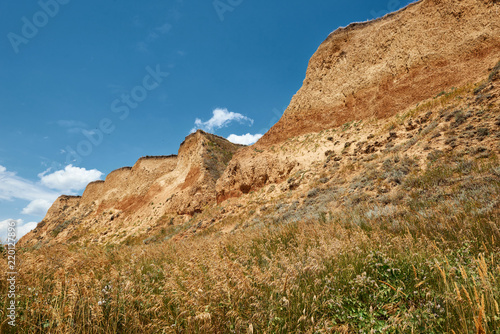 wildflowers on high coast by the sea, beautiful coastal landscape, travel concept