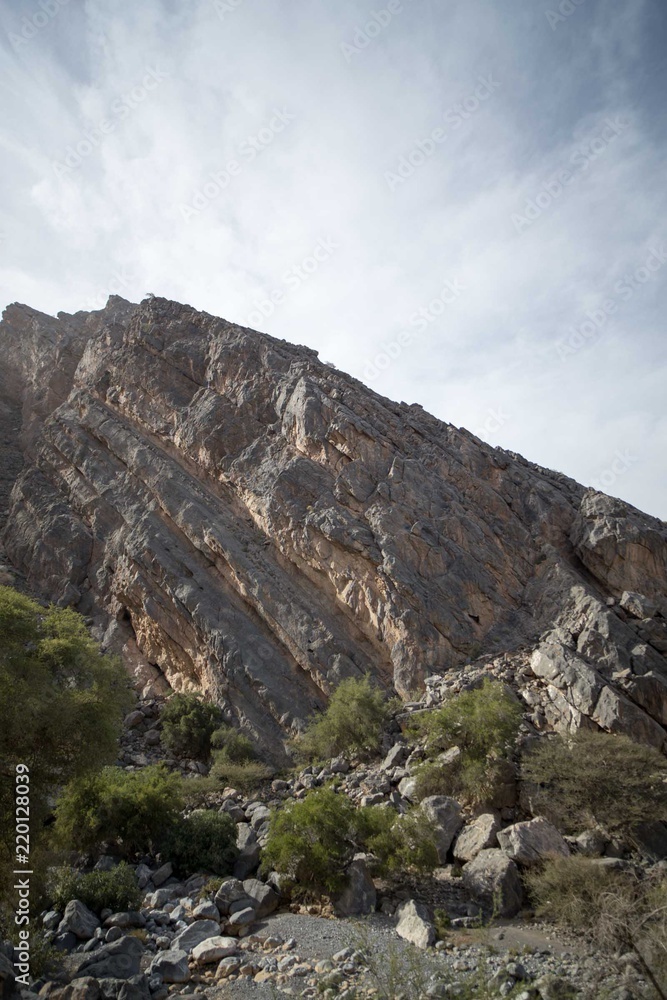 Berg mit Pflanzen und Geröll im Oman