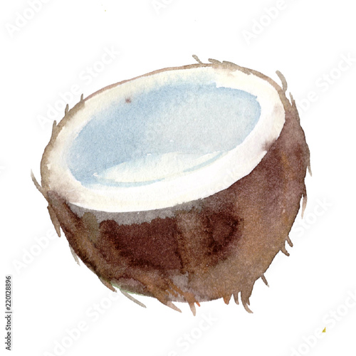 half an exotic fruit of a tropic coconut. watercolor illustration