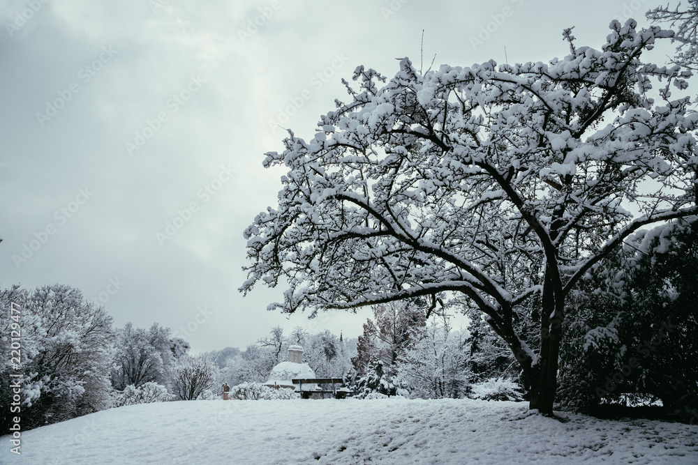 Beschneite Parkbank und Baum im Winter, Park Beschneite Parkbank und Baum im Winter, Park