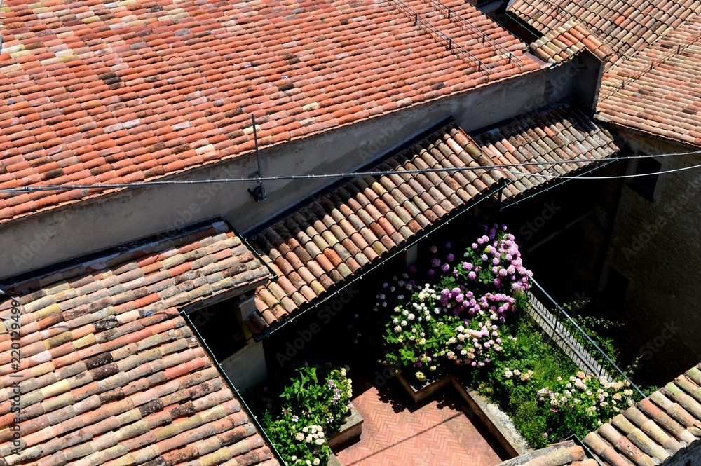 Fototapeta premium roofs of the city 